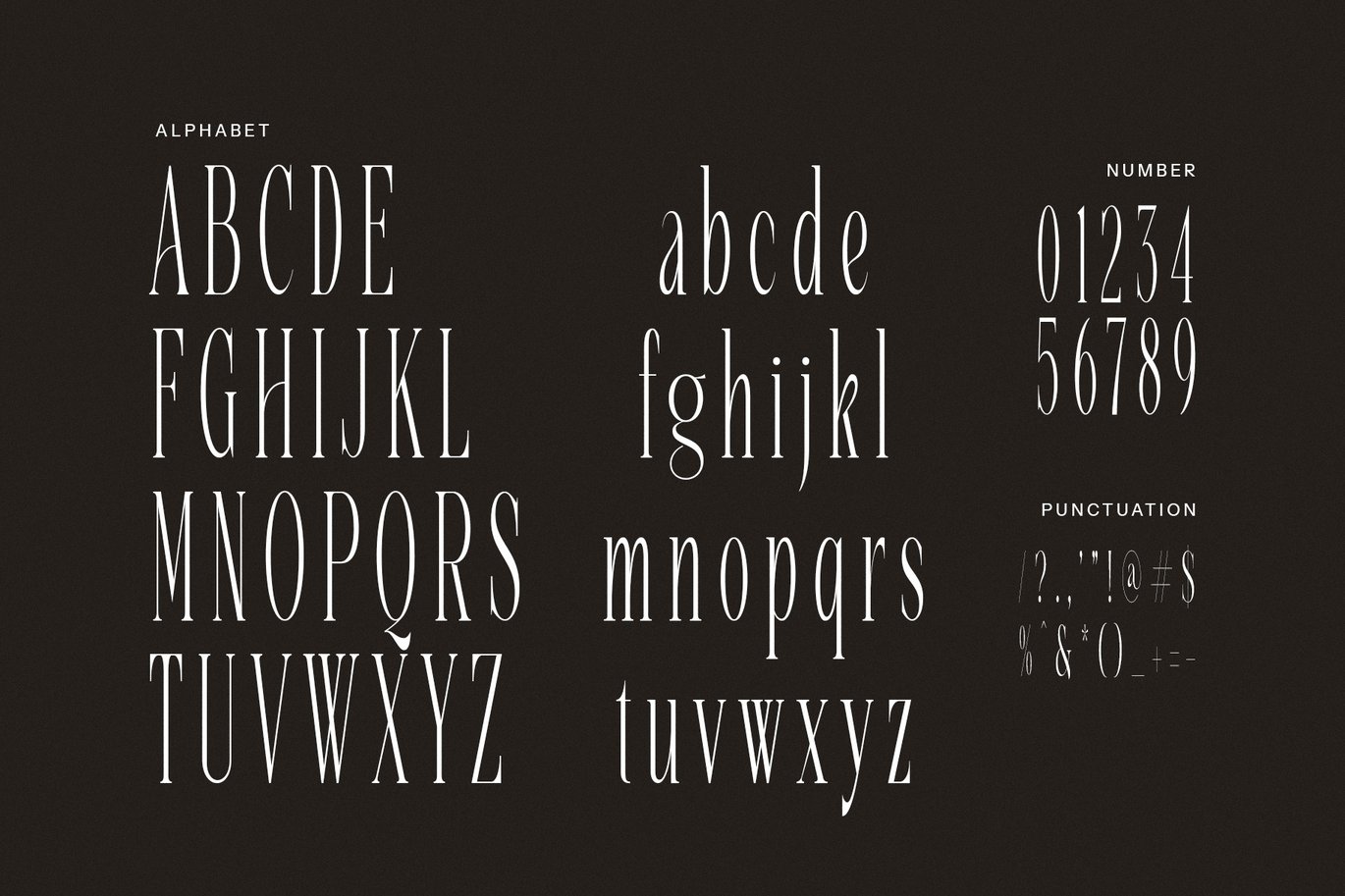 英文字体:复古奢华女性化杂志海报文字排版婚礼徽标LOGO设计衬线英文字体 Malika - Elegant Serif Font , 第6张-素材湾丨精选海外优质设计素材资源 英文字体:复古奢华女性化杂志海报文字排版婚礼徽标LOGO设计衬线英文字体 Malika - Elegant Serif Font , sucaiwan.com