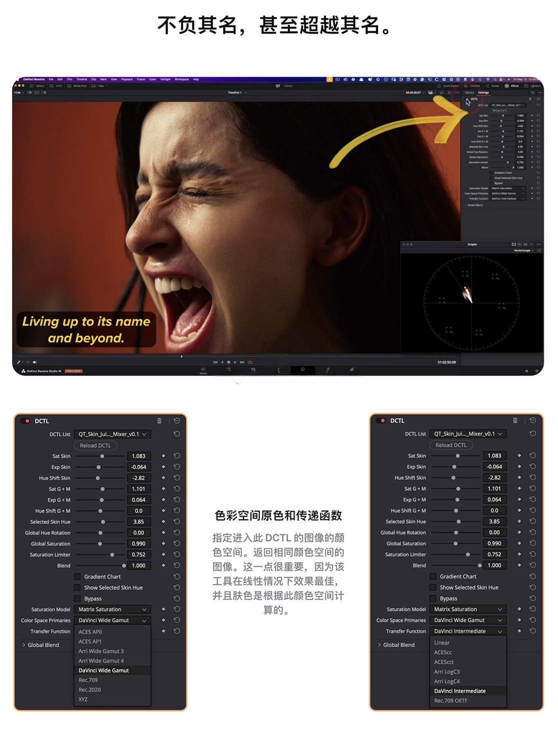 QT Skin Juice Mixer – Qazi’s Toolkit 复古胶片美学Netflix级电影感人像肤色调整达芬奇调色DCTL插件 , 第5张-素材湾丨精选海外优质设计素材资源 QT Skin Juice Mixer – Qazi’s Toolkit 复古胶片美学Netflix级电影感人像肤色调整达芬奇调色DCTL插件 , sucaiwan.com