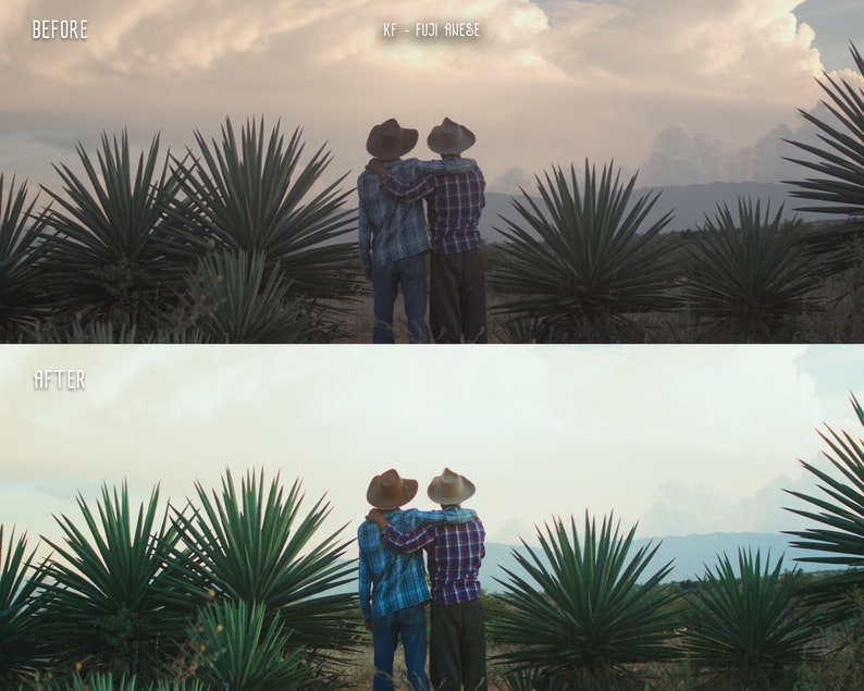 复古情绪电影美学柯达胶片模拟色彩分级LUT调色节点 17 Kodak Film Presets & LUTs Color Grading 插件预设 第8张-素材湾丨精选海外优质设计素材资源 复古情绪电影美学柯达胶片模拟色彩分级LUT调色节点 17 Kodak Film Presets & LUTs Color Grading 插件预设 sucaiwan.com