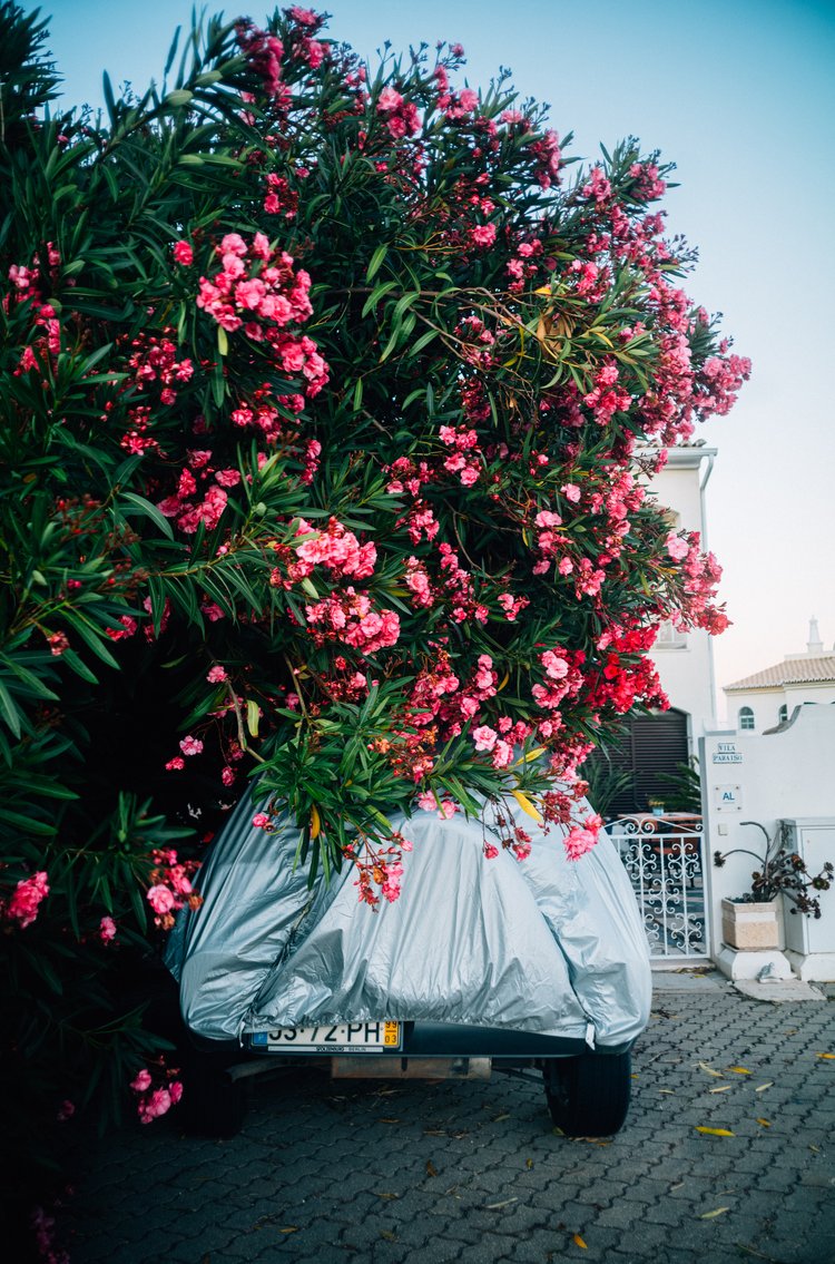 潮流电影质感红色/金棕色/深蓝色色调颗粒纹理模拟人文扫街照片调色Lightroom预设 Andre Josselin – Signature Presets 插件预设 第7张-素材湾丨精选海外优质设计素材资源 潮流电影质感红色/金棕色/深蓝色色调颗粒纹理模拟人文扫街照片调色Lightroom预设 Andre Josselin – Signature Presets 插件预设 sucaiwan.com