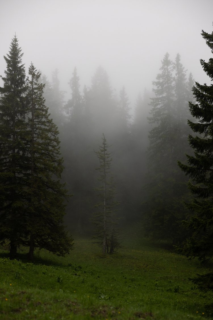 梦幻柔和蓝绿色橙色旅拍风景照片调色Lightroom预设 Presets By Frauki Vol I 插件预设 sucaiwan.com