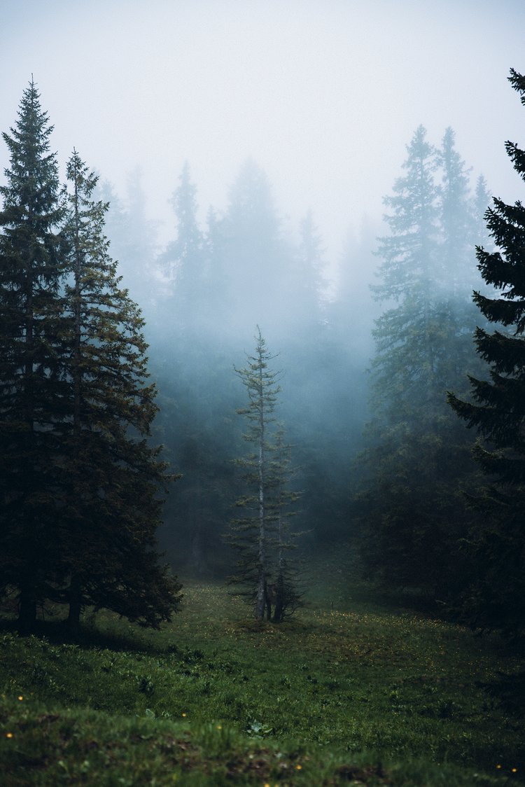 梦幻柔和蓝绿色橙色旅拍风景照片调色Lightroom预设 Presets By Frauki Vol I 插件预设 sucaiwan.com