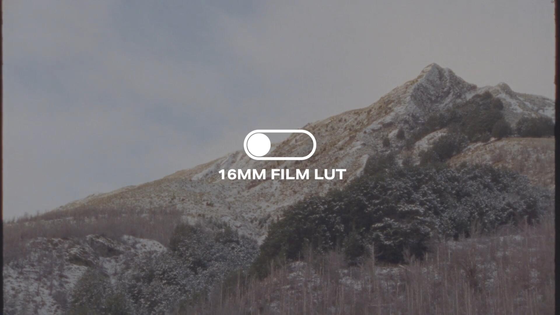 Happy Editing 16MM FILM LUTS 复古电影美学冷/暖/绿色调16mm胶片模拟色彩分级LUT调色预设 插件预设 sucaiwan.com