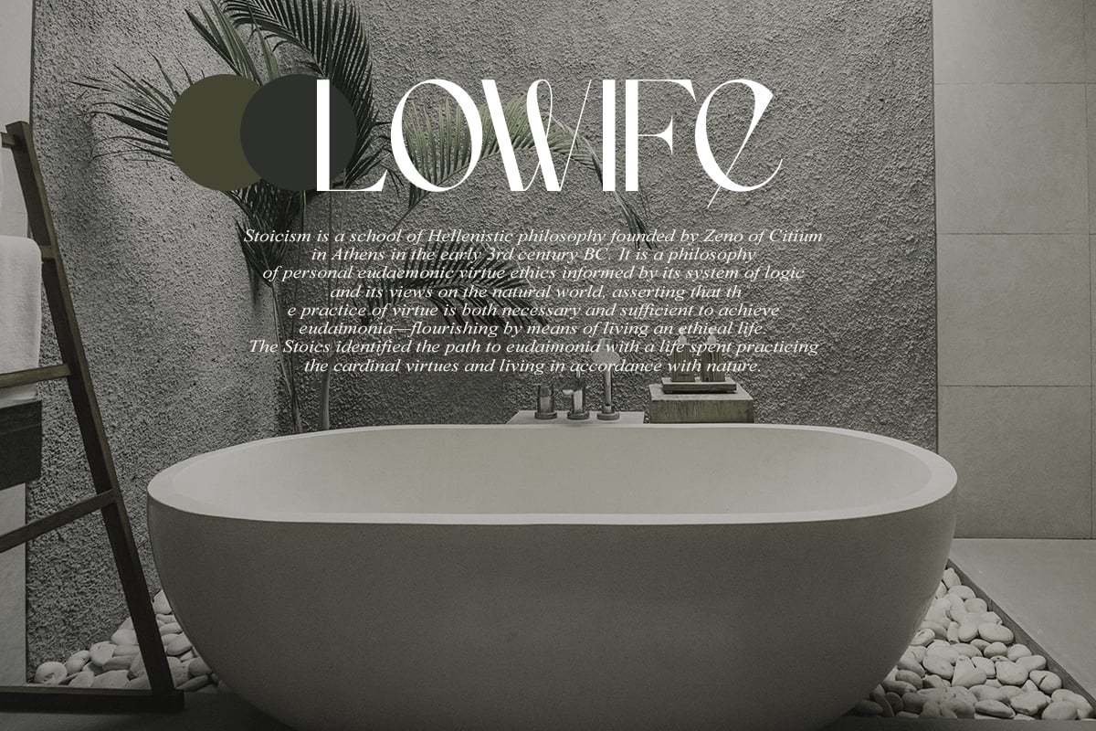 英文字体：优雅纤细简约尖锐品牌海报标题logo排版衬线英文字体 Camaro Stylish Display , sucaiwan.com