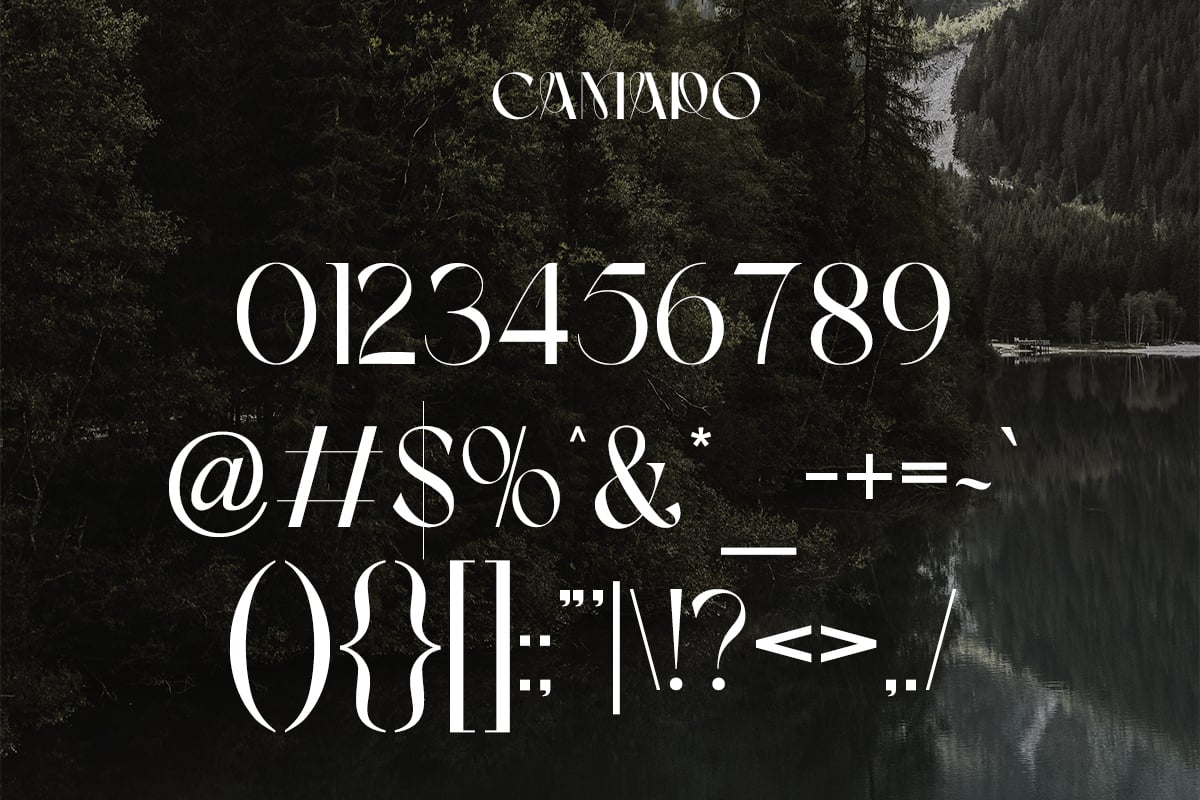 英文字体：优雅纤细简约尖锐品牌海报标题logo排版衬线英文字体 Camaro Stylish Display , sucaiwan.com