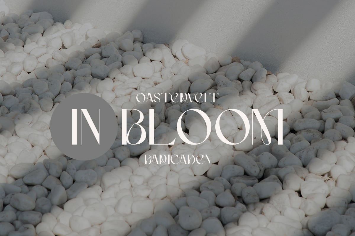 英文字体：优雅纤细简约尖锐品牌海报标题logo排版衬线英文字体 Camaro Stylish Display , sucaiwan.com