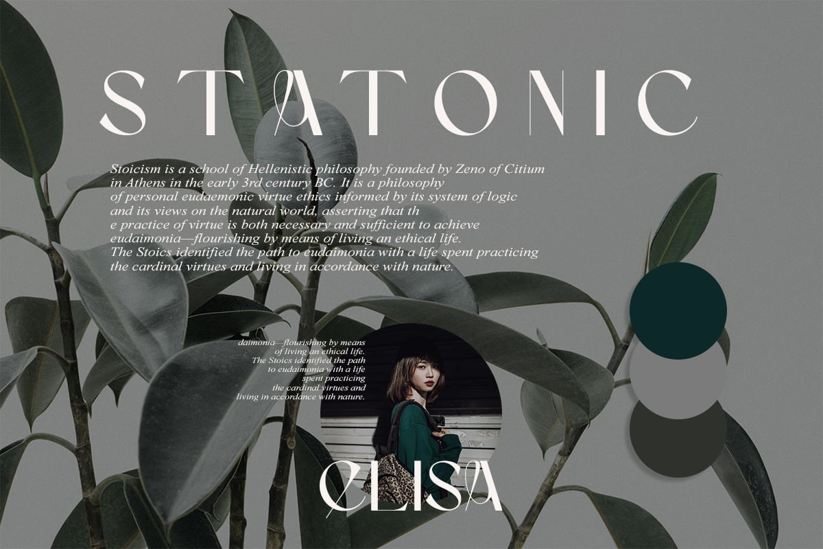 英文字体：优雅纤细简约尖锐品牌海报标题logo排版衬线英文字体 Camaro Stylish Display , sucaiwan.com