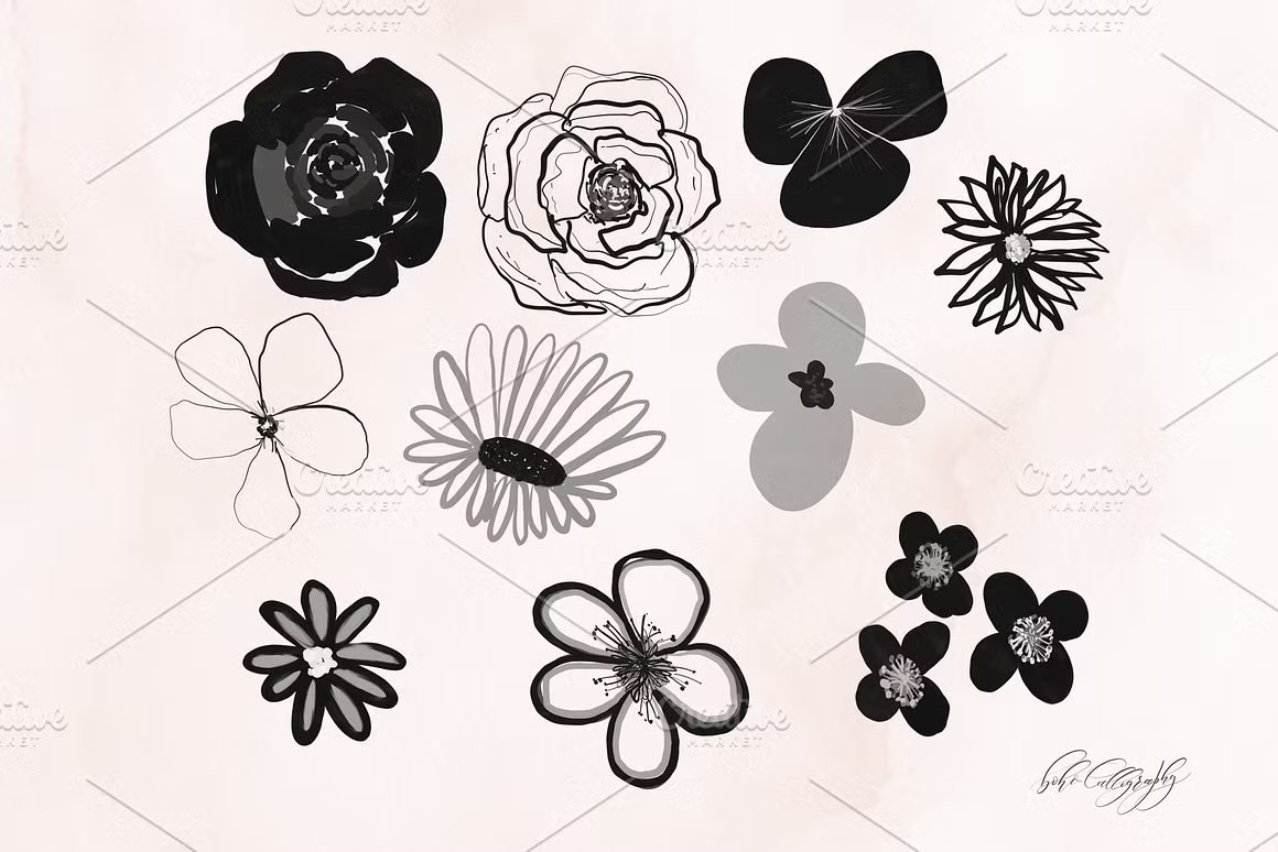 24种独特手绘花卉Procreate笔刷 Flowers & Leaves Procreate Stamps 笔刷资源 sucaiwan.com