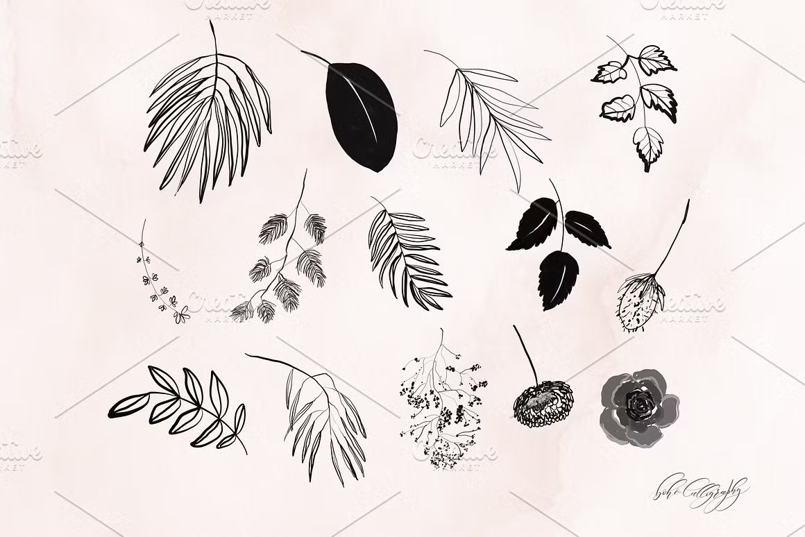 24种独特手绘花卉Procreate笔刷 Flowers & Leaves Procreate Stamps 笔刷资源 sucaiwan.com