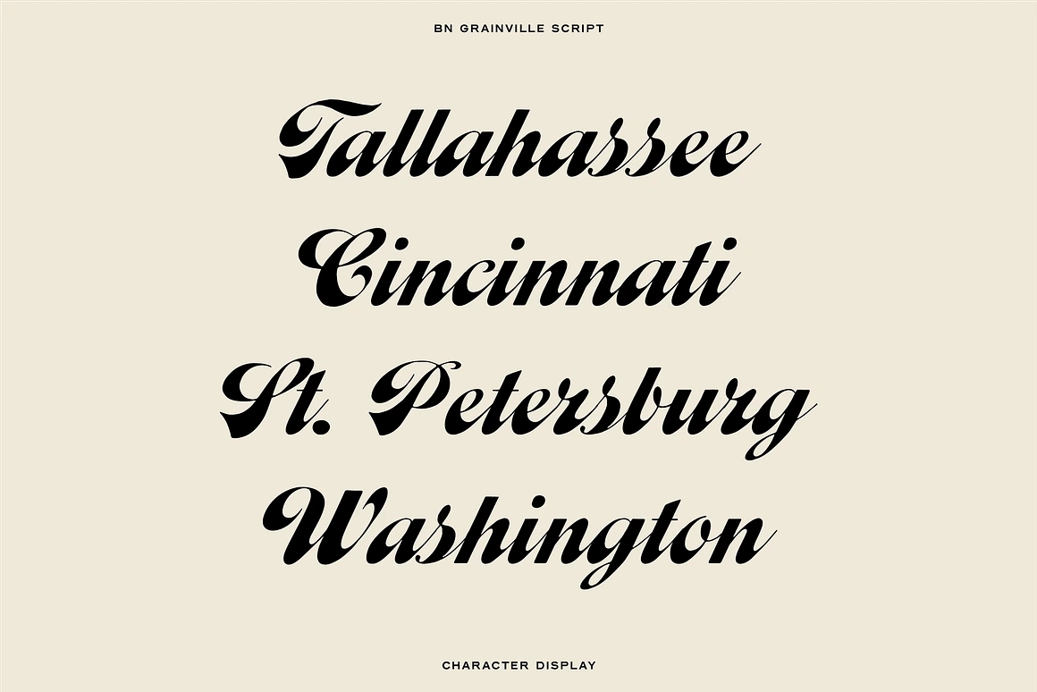 The Diverse Font Bundle 18种LOGO徽标网页设计印刷包装平面海报设计无衬线字体套装 设计素材 第5张-素材湾丨精选海外优质设计素材资源 The Diverse Font Bundle 18种LOGO徽标网页设计印刷包装平面海报设计无衬线字体套装 设计素材 sucaiwan.com