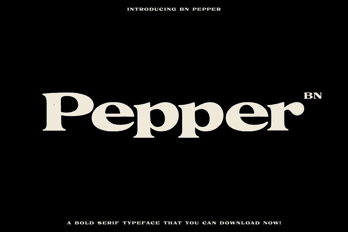 The Diverse Font Bundle 18种LOGO徽标网页设计印刷包装平面海报设计无衬线字体套装 设计素材 第11张-素材湾丨精选海外优质设计素材资源 The Diverse Font Bundle 18种LOGO徽标网页设计印刷包装平面海报设计无衬线字体套装 设计素材 sucaiwan.com