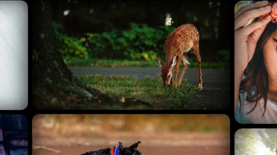 Gallery Wall Slideshow 照片墙画廊幻灯片滚动效果二合一AE/PR模板 影视音频 第3张-素材湾丨精选海外优质设计素材资源 Gallery Wall Slideshow 照片墙画廊幻灯片滚动效果二合一AE/PR模板 影视音频 sucaiwan.com