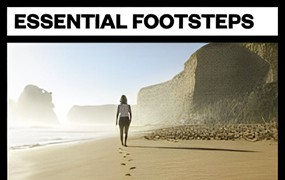 音效:85个室内外泥土草地雪地木楼梯地毯行走脚步声音效 Big Room Sound – Footsteps