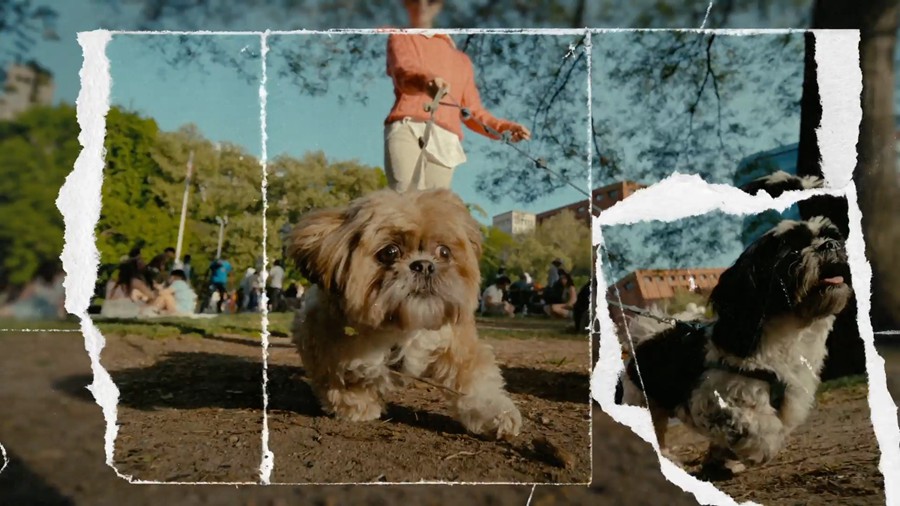 4K高质量复古垃圾撕裂纸张拼贴横屏手机竖屏转场过渡三合一AE/PR/PR Mogrt模板 Grunge Paper Transitions 影视音频 sucaiwan.com