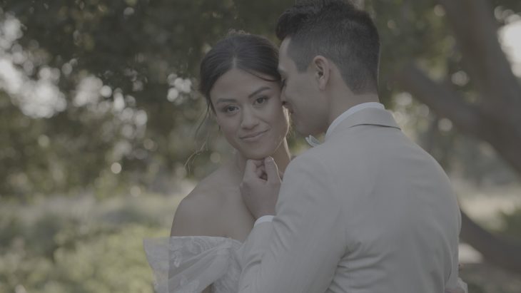 永恒奢华电影风格温暖柔和光彩婚礼视频调色LUT预设 GAMUT – Prestige 插件预设 第10张-素材湾丨精选海外优质设计素材资源 永恒奢华电影风格温暖柔和光彩婚礼视频调色LUT预设 GAMUT – Prestige 插件预设 sucaiwan.com