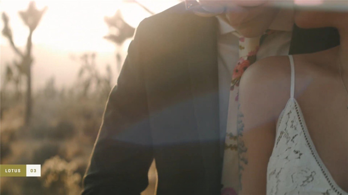 Gamut Lotus 浓郁电影蓝绿色/橙色商业级婚礼派对人像摄影LUT调色预设 插件预设 sucaiwan.com