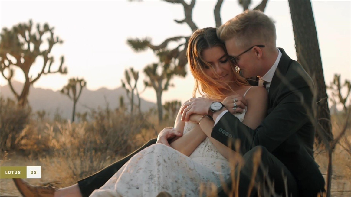 Gamut Lotus 浓郁电影蓝绿色/橙色商业级婚礼派对人像摄影LUT调色预设 插件预设 sucaiwan.com