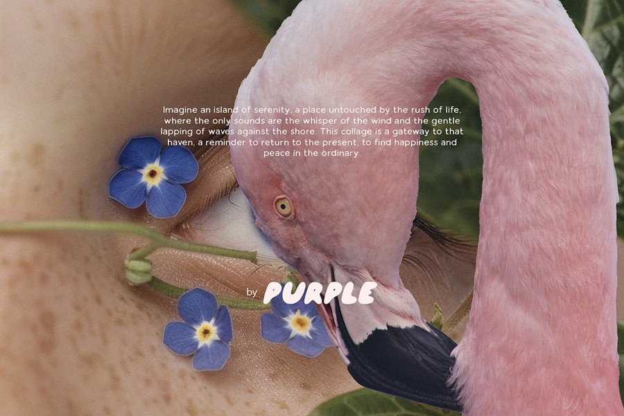 184款真实人物物品动物眼睛花卉水晶剪贴画纸张PNG免抠图设计素材 Healing Collage Pack 图片素材 第2张-素材湾丨精选海外优质设计素材资源 184款真实人物物品动物眼睛花卉水晶剪贴画纸张PNG免抠图设计素材 Healing Collage Pack 图片素材 sucaiwan.com