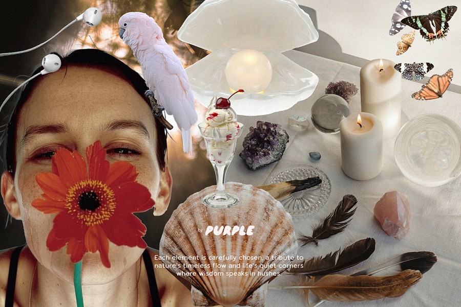 184款真实人物物品动物眼睛花卉水晶剪贴画纸张PNG免抠图设计素材 Healing Collage Pack 图片素材 第3张-素材湾丨精选海外优质设计素材资源 184款真实人物物品动物眼睛花卉水晶剪贴画纸张PNG免抠图设计素材 Healing Collage Pack 图片素材 sucaiwan.com