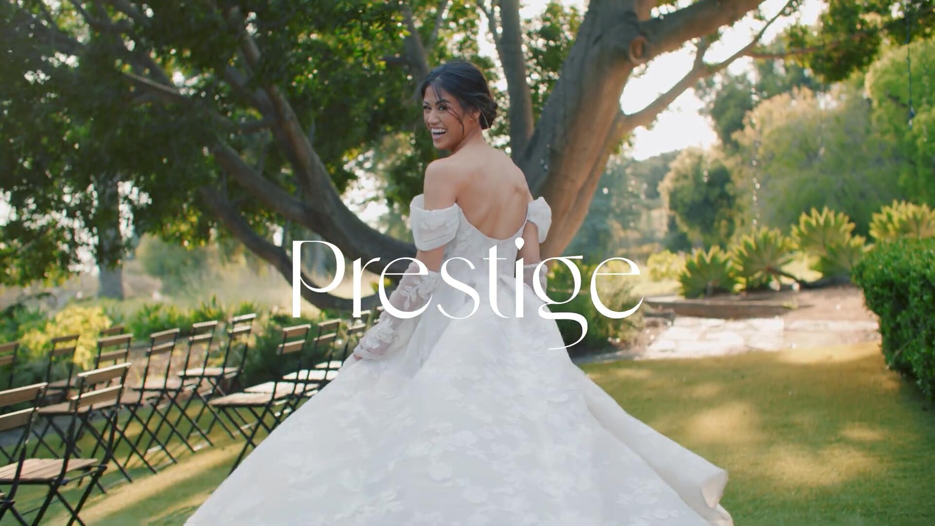 Gamut Prestige 纯白温暖永恒精致奢华艺术婚礼派对人像摄影LUT调色预设 插件预设 第3张-素材湾丨精选海外优质设计素材资源 Gamut Prestige 纯白温暖永恒精致奢华艺术婚礼派对人像摄影LUT调色预设 插件预设 sucaiwan.com