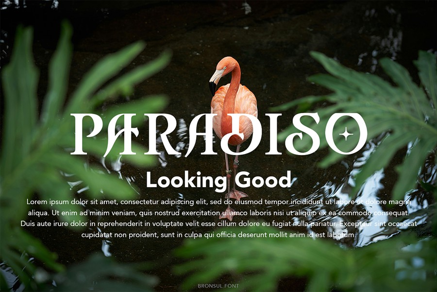 时尚复古品牌海报邀请函标题设计衬线英文字体安装包 Bronsul Serif Display 设计素材 sucaiwan.com