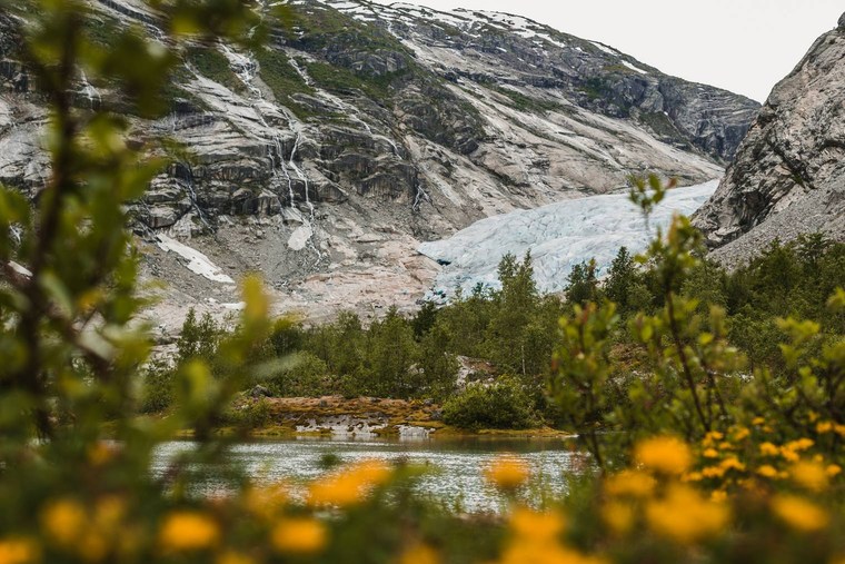 4组森林云雾沿海风光摄影后期调色Capture One预设套装 Northlandscapes Capture ONE Master Collection 插件预设 第11张-素材湾丨精选海外优质设计素材资源 4组森林云雾沿海风光摄影后期调色Capture One预设套装 Northlandscapes Capture ONE Master Collection 插件预设 sucaiwan.com