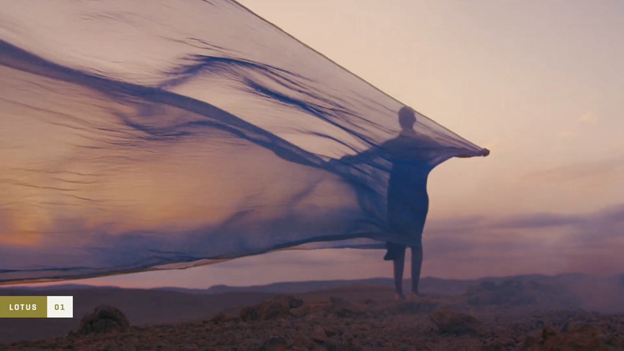 Gamut - LOTUS 户外室内婚礼蓝绿/橙色电影质感视频婚礼人像调色LUT 插件预设 第8张-素材湾丨精选海外优质设计素材资源 Gamut - LOTUS 户外室内婚礼蓝绿/橙色电影质感视频婚礼人像调色LUT 插件预设 sucaiwan.com