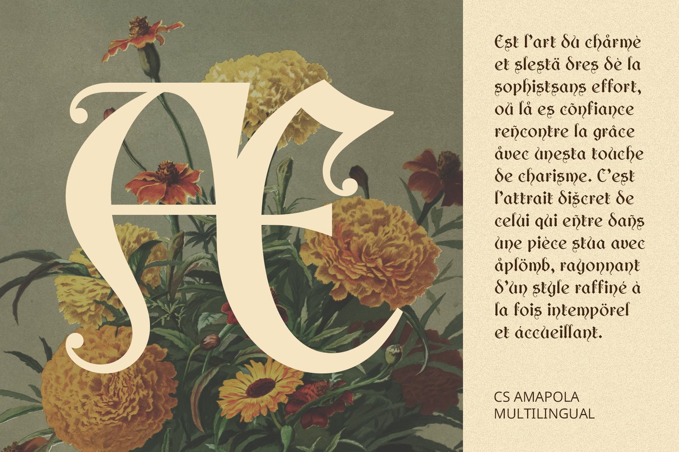 哥特式优雅复古品牌海报徽标设计装饰英文字体安装包 Amapola – Gothic Uncial Font 设计素材 第7张-素材湾丨精选海外优质设计素材资源 哥特式优雅复古品牌海报徽标设计装饰英文字体安装包 Amapola – Gothic Uncial Font 设计素材 sucaiwan.com