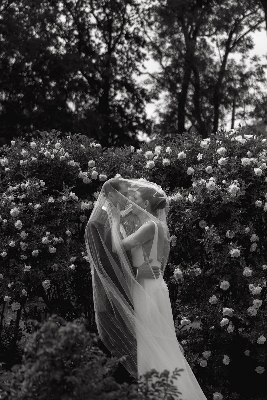 经典怀旧风格化真实色彩黑白色调颗粒感情侣婚礼摄影照片调色Lightroom预设 Rebecca Frank Co. Presets 插件预设 第3张-素材湾丨精选海外优质设计素材资源 经典怀旧风格化真实色彩黑白色调颗粒感情侣婚礼摄影照片调色Lightroom预设 Rebecca Frank Co. Presets 插件预设 sucaiwan.com