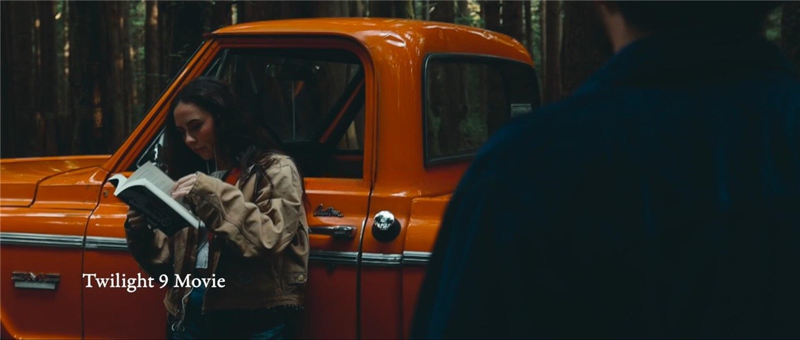 G-Presets - The Twilight LUTs《暮光之城》电影美学秋冬季深沉黄昏薄雾风景旅拍LUT调色预设包 . 第5张-素材湾丨精选海外优质设计素材资源 G-Presets - The Twilight LUTs《暮光之城》电影美学秋冬季深沉黄昏薄雾风景旅拍LUT调色预设包 . sucaiwan.com