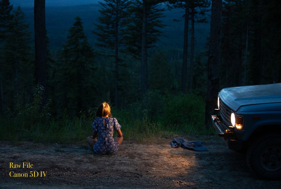 Forrest Mankins - FM7 22个经典胶片扫描电影颗粒纹理胶片摄影Lightroom调色预设 插件预设 第3张-素材湾丨精选海外优质设计素材资源 Forrest Mankins - FM7 22个经典胶片扫描电影颗粒纹理胶片摄影Lightroom调色预设 插件预设 sucaiwan.com