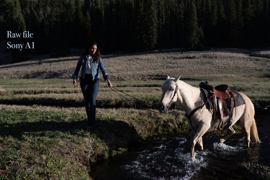 Forrest Mankins - FM7 22个经典胶片扫描电影颗粒纹理胶片摄影Lightroom调色预设 插件预设 第5张-素材湾丨精选海外优质设计素材资源 Forrest Mankins - FM7 22个经典胶片扫描电影颗粒纹理胶片摄影Lightroom调色预设 插件预设 sucaiwan.com