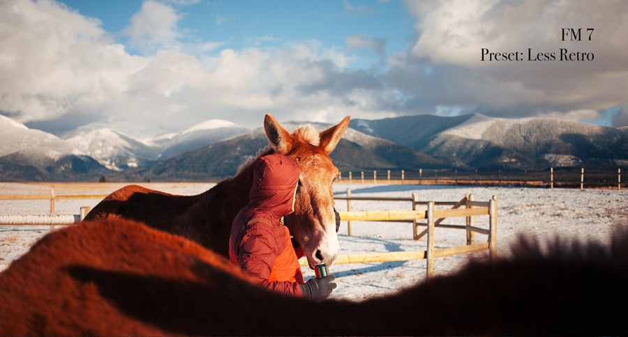 Forrest Mankins - FM7 22个经典胶片扫描电影颗粒纹理胶片摄影Lightroom调色预设 插件预设 第12张-素材湾丨精选海外优质设计素材资源 Forrest Mankins - FM7 22个经典胶片扫描电影颗粒纹理胶片摄影Lightroom调色预设 插件预设 sucaiwan.com