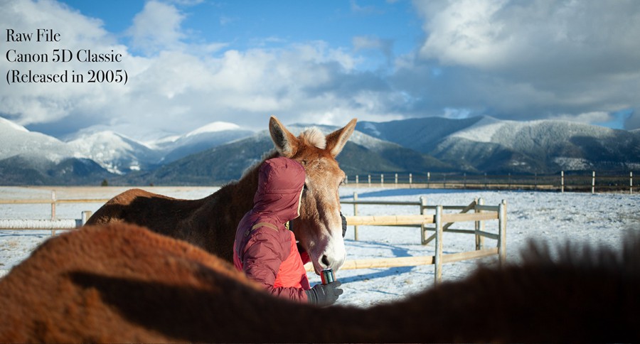 Forrest Mankins - FM7 22个经典胶片扫描电影颗粒纹理胶片摄影Lightroom调色预设 插件预设 第11张-素材湾丨精选海外优质设计素材资源 Forrest Mankins - FM7 22个经典胶片扫描电影颗粒纹理胶片摄影Lightroom调色预设 插件预设 sucaiwan.com