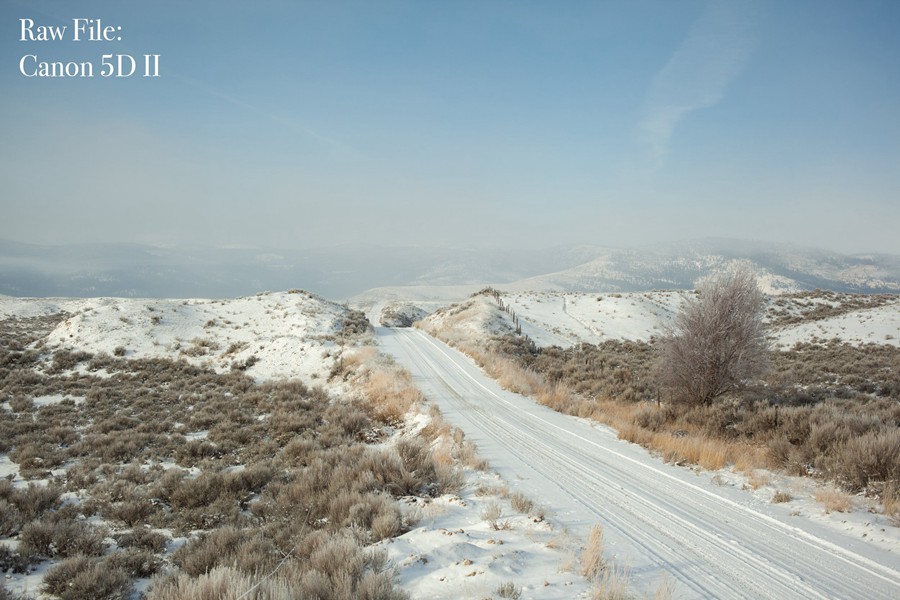 Forrest Mankins - FM7 22个经典胶片扫描电影颗粒纹理胶片摄影Lightroom调色预设 插件预设 第13张-素材湾丨精选海外优质设计素材资源 Forrest Mankins - FM7 22个经典胶片扫描电影颗粒纹理胶片摄影Lightroom调色预设 插件预设 sucaiwan.com