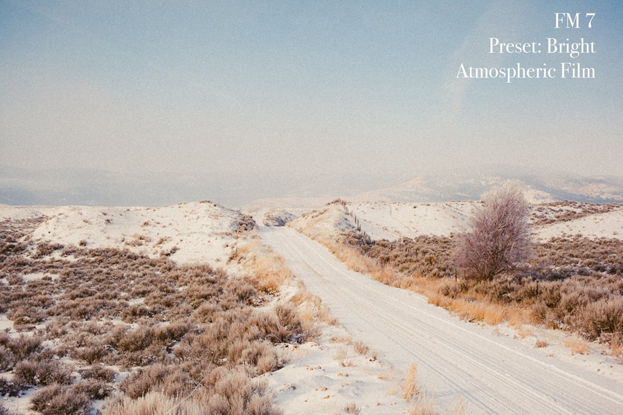 Forrest Mankins - FM7 22个经典胶片扫描电影颗粒纹理胶片摄影Lightroom调色预设 插件预设 第14张-素材湾丨精选海外优质设计素材资源 Forrest Mankins - FM7 22个经典胶片扫描电影颗粒纹理胶片摄影Lightroom调色预设 插件预设 sucaiwan.com