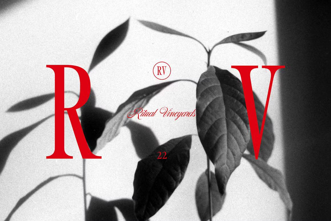 英文字体：复古怀旧创意纤细优雅极简排版标题精美衬线海报封面字体 Sailing Club | Nostalgic Serif , sucaiwan.com