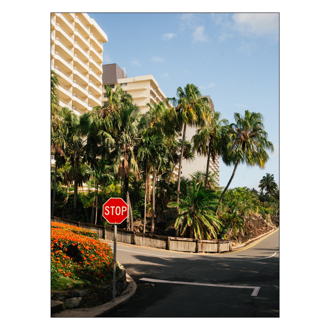 LR预设:怀旧电影美学柯达/富士/依尔福35mm胶片摄影婚礼人像Lightroom调色预设 Gerard Needham – アナログ Anarogu Film Collection - V3 Presets 插件预设 第2张-素材湾丨精选海外优质设计素材资源 LR预设:怀旧电影美学柯达/富士/依尔福35mm胶片摄影婚礼人像Lightroom调色预设 Gerard Needham – アナログ Anarogu Film Collection - V3 Presets 插件预设 sucaiwan.com