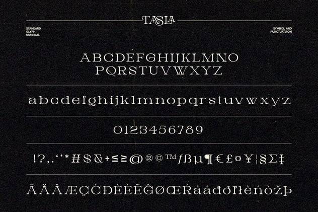 复古优雅品牌包装海报徽标设计衬线英文字体安装包 Tasla 设计素材 第4张-素材湾丨精选海外优质设计素材资源 复古优雅品牌包装海报徽标设计衬线英文字体安装包 Tasla 设计素材 sucaiwan.com