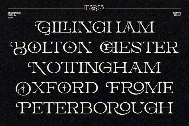 复古优雅品牌包装海报徽标设计衬线英文字体安装包 Tasla 设计素材 第3张-素材湾丨精选海外优质设计素材资源 复古优雅品牌包装海报徽标设计衬线英文字体安装包 Tasla 设计素材 sucaiwan.com