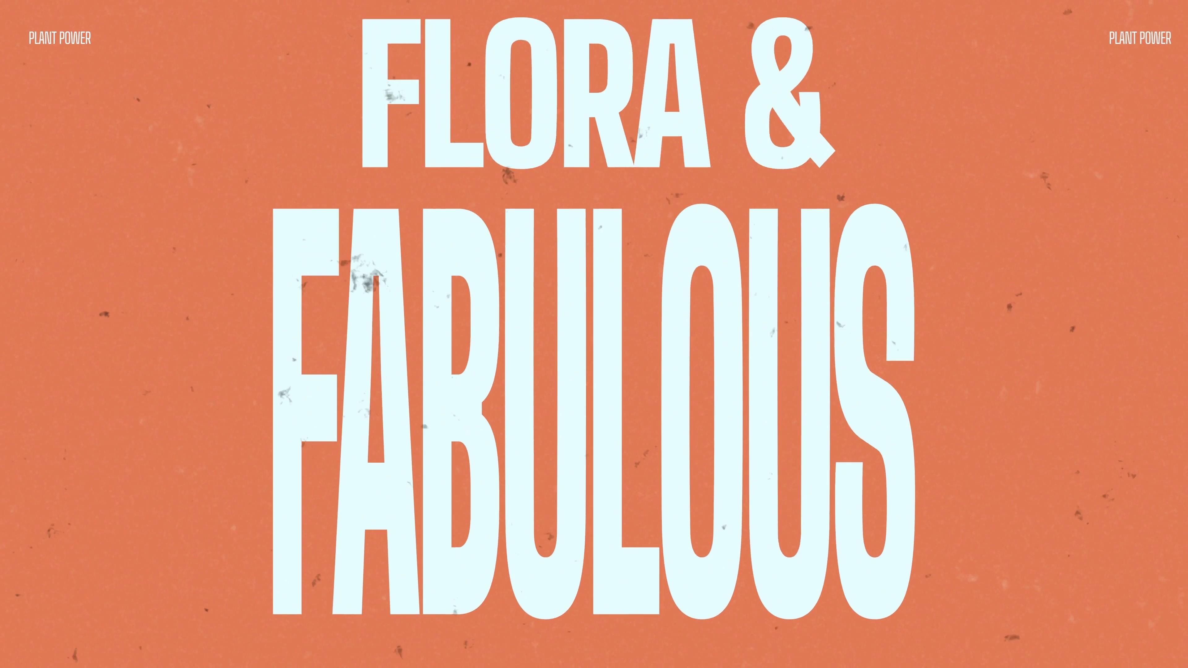 AE/PR/达芬奇模板:5个复古胶片燃烧漏光模块化文字标题动画 Modular Beat Typography 影视音频 第5张-素材湾丨精选海外优质设计素材资源 AE/PR/达芬奇模板:5个复古胶片燃烧漏光模块化文字标题动画 Modular Beat Typography 影视音频 sucaiwan.com