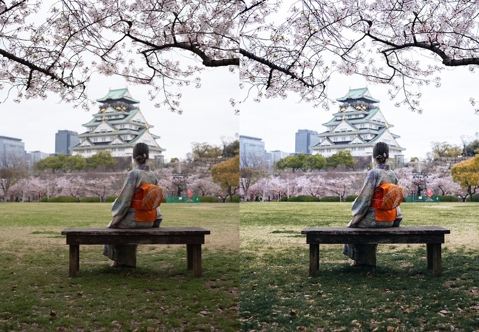 日本新生代摄影师山口幸树LR预设个人风格合集 Kohki Signature Preset Pack 插件预设 第3张-素材湾丨精选海外优质设计素材资源 日本新生代摄影师山口幸树LR预设个人风格合集 Kohki Signature Preset Pack 插件预设 sucaiwan.com