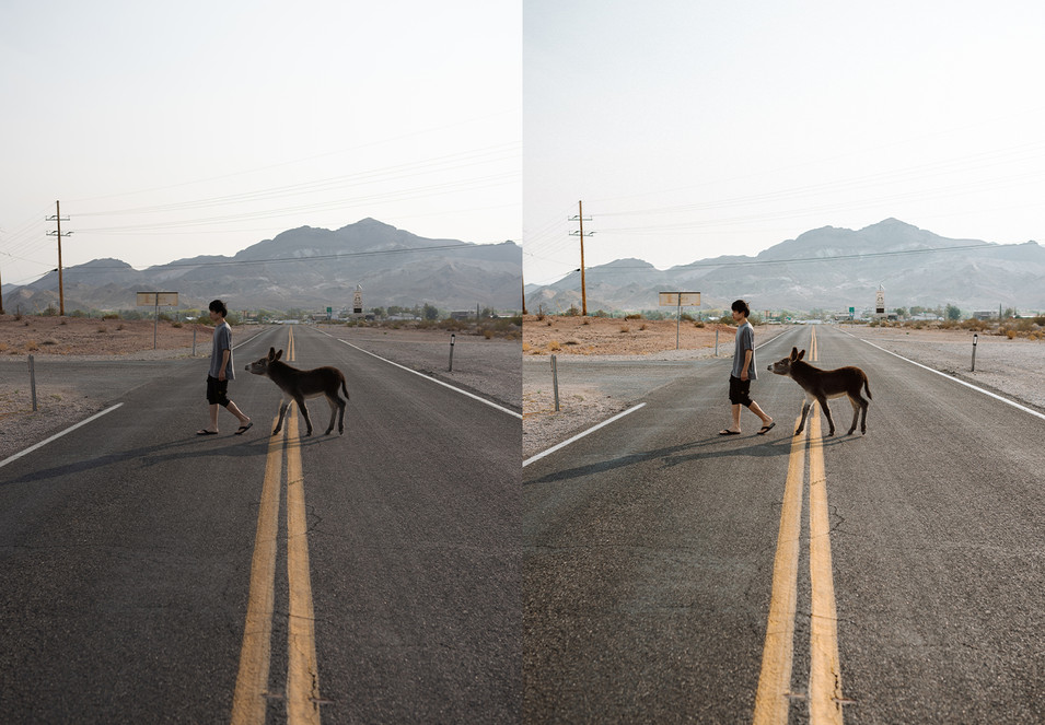 日本新生代摄影师山口幸树LR预设个人风格合集 Kohki Signature Preset Pack 插件预设 第8张-素材湾丨精选海外优质设计素材资源 日本新生代摄影师山口幸树LR预设个人风格合集 Kohki Signature Preset Pack 插件预设 sucaiwan.com