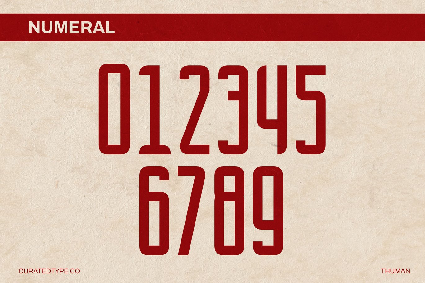 现代优雅品牌海报徽标设计无衬线英文字体安装包 Thuman – Tall Display Font 设计素材 sucaiwan.com