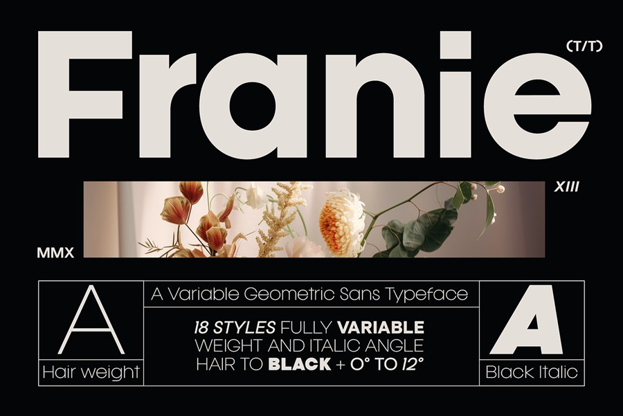 现代高级精美潮流几何风格无衬线时尚PSAI西文英文字体安装包 Franie Geometric Sans Family 设计素材 sucaiwan.com