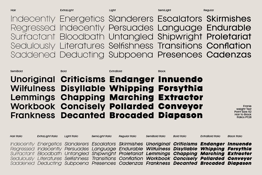 现代高级精美潮流几何风格无衬线时尚PSAI西文英文字体安装包 Franie Geometric Sans Family 设计素材 sucaiwan.com