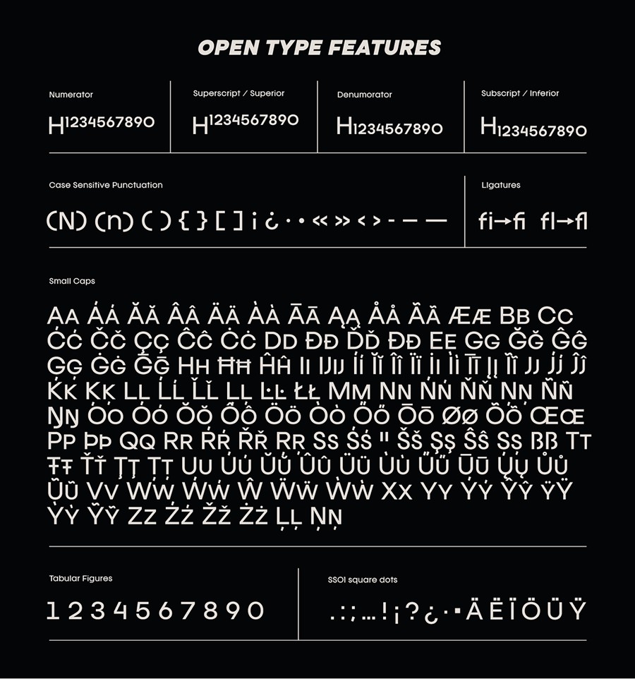 现代高级精美潮流几何风格无衬线时尚PSAI西文英文字体安装包 Franie Geometric Sans Family 设计素材 sucaiwan.com