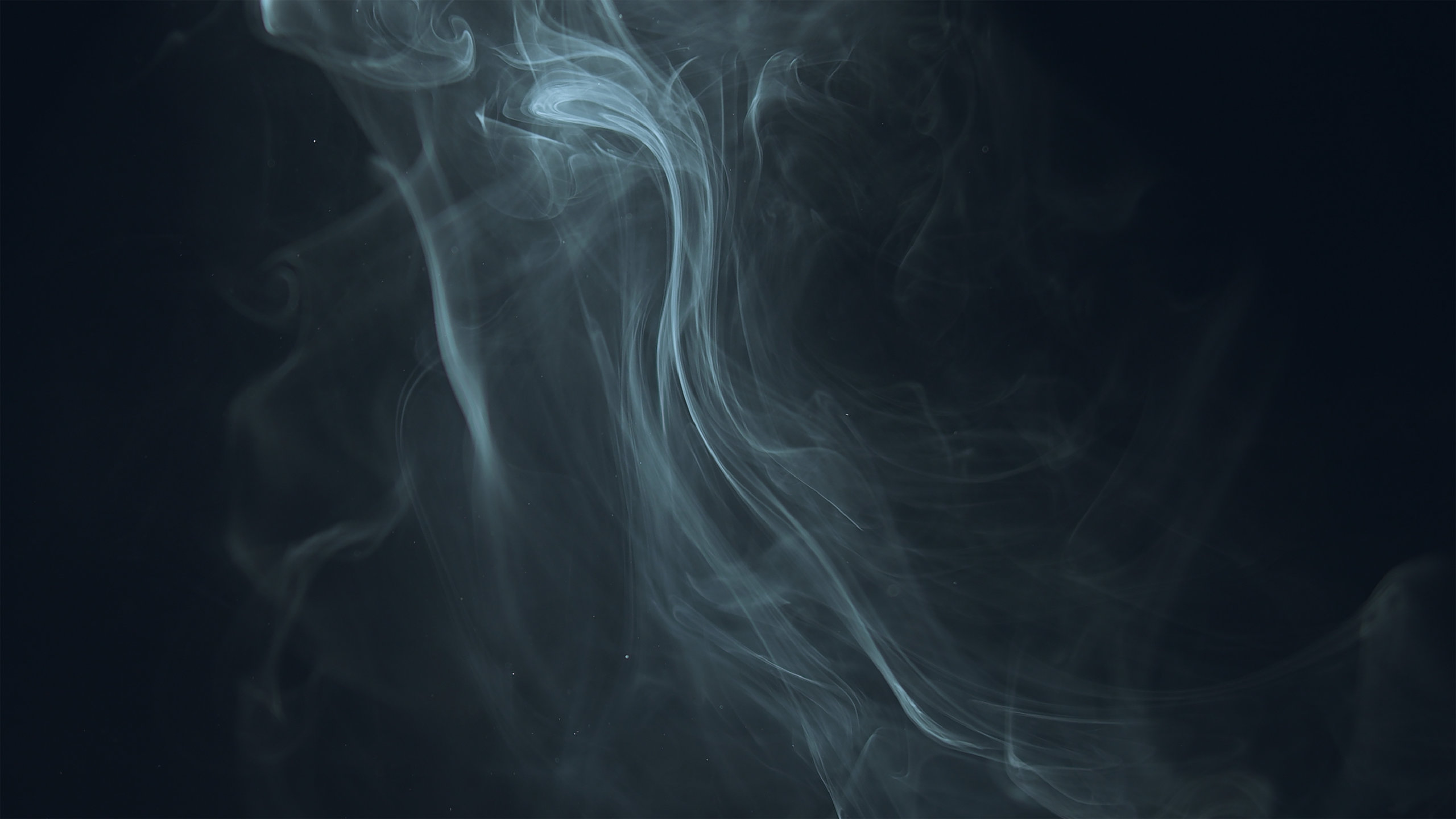 50款高清真实抽象艺术白色烟雾肌理纹理叠加背景底纹图片设计素材 Blkmarket – Smoke , sucaiwan.com