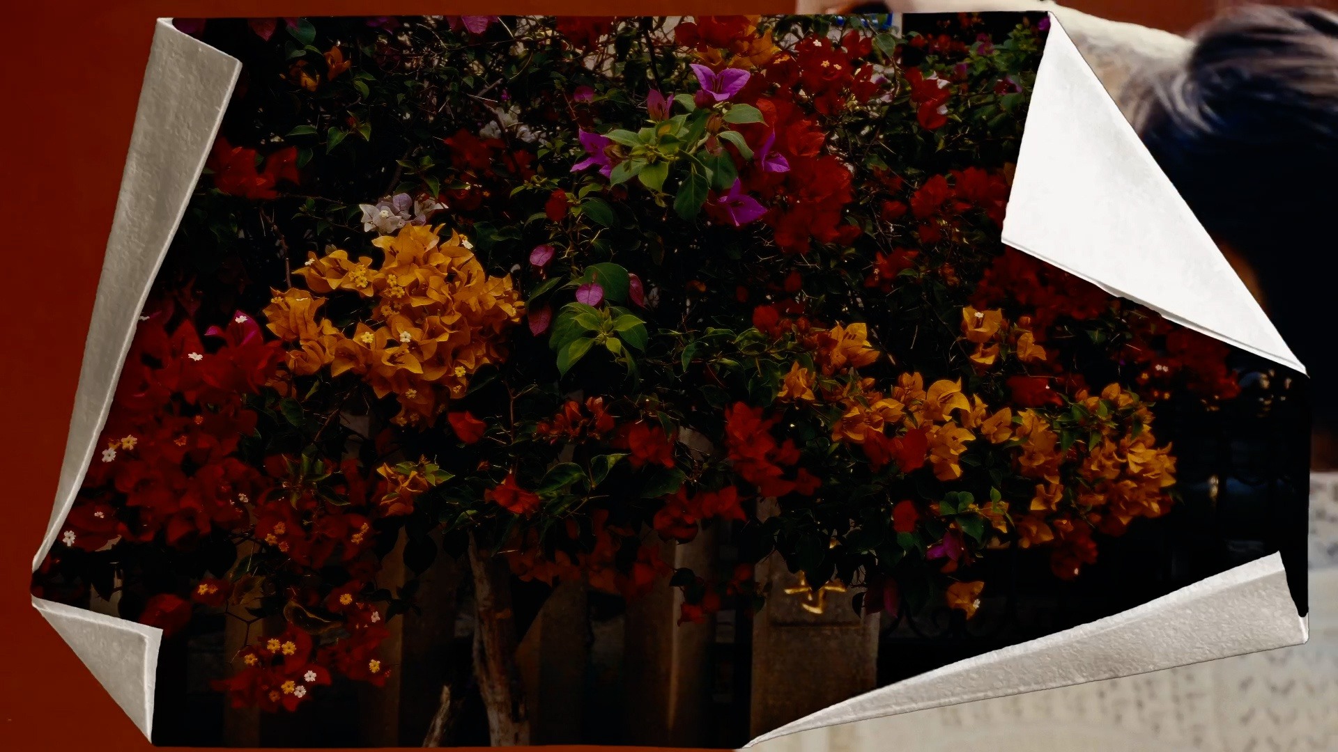 达芬奇预设：4K趣味复古纸张折纸进场出场展开纸张定格动画转场过渡效果Paper Transitions 插件预设 sucaiwan.com