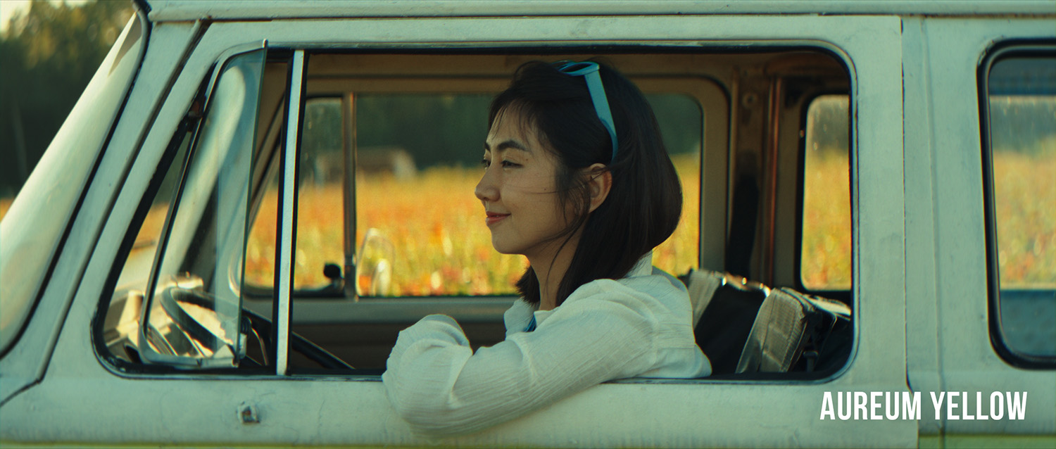 VG Studios Sunset Film LUT 14个高级现代与复古电影胶片风格化创意LUT , 第4张-素材湾丨精选海外优质设计素材资源 VG Studios Sunset Film LUT 14个高级现代与复古电影胶片风格化创意LUT , sucaiwan.com